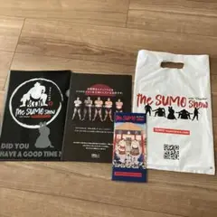 万博　THE SUMO SHOW クリアファイルと会社パンフレット