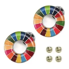 SDGsバッジ　銀エポ　20mm 小さめ　2個セット留め具6個付き