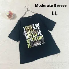 美品✨【モデラートブリーズ】半袖Ｔシャツ カットソー (LL) 黒 プリント