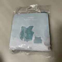 スリーコインズ KIDS スイムベルト