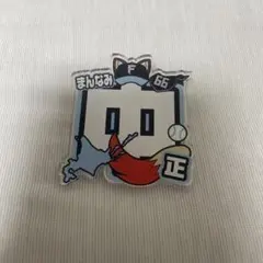 ネームアクリルバッジ 万波中正