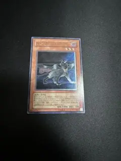 遊戯王　Nブラックパンサー　レリーフ