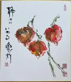 色紙(原画)ーホウズキ