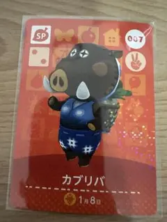 カブリバ　あつ森・あつまれどうぶつの森・アミーボ・amiiboカード