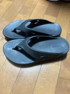 Item thumbnail for item 689000e2-3224-4ebd-aa74-89865cbae02e