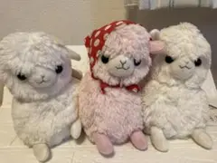 ベイビーアルパカッソ　ぬいぐるみ　3つセット