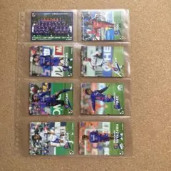 2006 FC東京　会員限定配布カード12枚