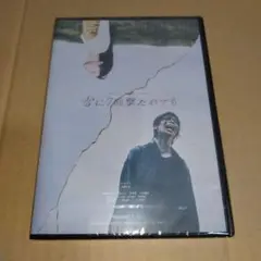 「雷に7回撃たれても」会場限定販売　DVD