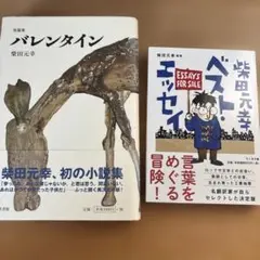 柴田元幸　短編集・ベストエッセイ２冊セット