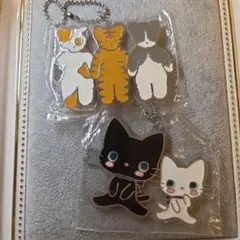 サンリオねこの会 ノラネコランド ニョッキ&ペンネ