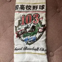 第103回全国高校野球選手権大会タオル