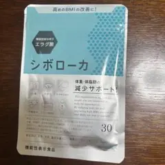 Item thumbnail for item aa91ff0e-9558-430a-8db8-1b3d6b96c0d0