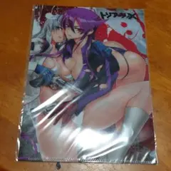 トリアージX クリアファイル ドラゴンエイジ