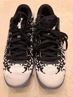 Item thumbnail for item 45e747ec-7d2d-43ee-8c34-720f894fdfb6