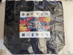 2024年マイナビオールスターゲーム トートバッグ