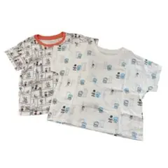 Item thumbnail for item a5ab0c72-f6e2-48ca-bddd-21fbab916aa5