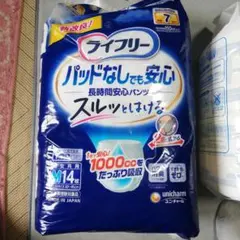 Item thumbnail for item a9b6e449-01fd-4969-9751-a9980e51674e