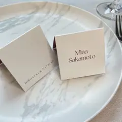 Item thumbnail for item b91ec722-e0bf-4930-9fe0-006372e63fec