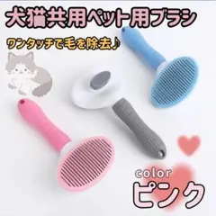 Item thumbnail for item 0287dd1f-190d-40db-8517-60c65ce566e0