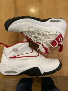NIKE Rodman ロッドマン　Allah 海外販売中】ナイキ エアフォース 1 '07 LV8 