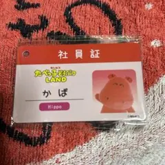 たべっ子どうぶつ　かば　社員証