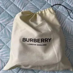 Item thumbnail for item 09136652-0c99-4bcf-92ce-66643b30e2ed