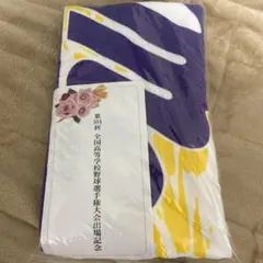 第104回愛工大名電甲子園記念タオル