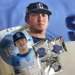 ライオンズフェスティバル　うちわキーホルダー タオル　ピンバッチ　隅田知一郎