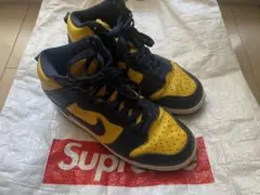 NIKE ナイキ ダンク　ミシガン