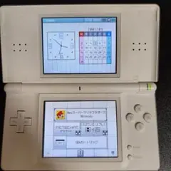 DSライト 白 本体のみ