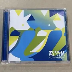 WILD BLUE / 少年の僕へ　PENGUIN RESEARCH