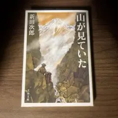 山が見ていた
