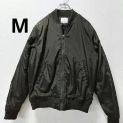 Item thumbnail for item 45c6aebe-82c8-4d3f-b62d-1c77962d5b37
