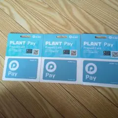 SUPER　HomeCenter　PLANT　プラントPay　ペイ　カード