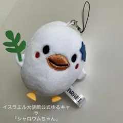 大阪万博 イスラエル シャロウムちゃん ぬいぐるみ マスコット 非売品
