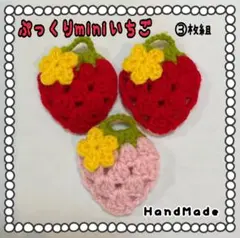 ③枚組!!【いちご】miniアクリルたわし