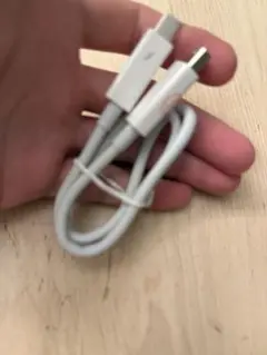 APPLE THUNDERBOLT 2 0.5m ケーブル純正保証有