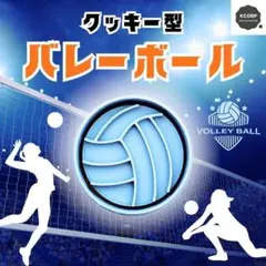 2025年最新】MIKASA ミカサ ビーチバレーボールの人気アイテム