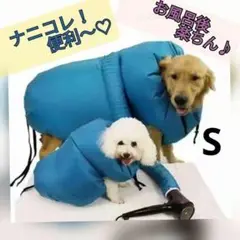 Item thumbnail for item a33ab024-7bb7-4050-9e8b-c10f749da37c