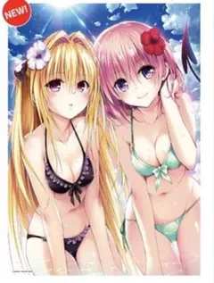 toloveる B2ポスター 2枚セット 金色の闇 美柑