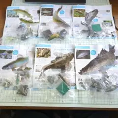ネイチャーテクニカラー 日本の清流 増補特装版 コンプリート