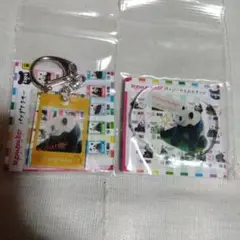 アドベンチャーワールド パンダ ガチャ アクスタ キーホルダー　幸浜
