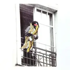 SUPREME ANTIHERO BALCONY STICKER