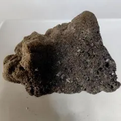 巨大な軽石です。