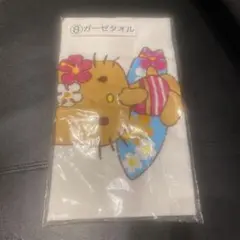 Item thumbnail for item 21d66c17-5cd6-48d6-b545-04b04c62efb0