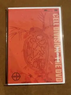 Grantz マンウィズ前身バンド出演DVD　顔出し　希少　レア　素顔　グランツ