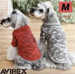 Item thumbnail for item 639e33b8-75a7-468e-b824-9060c0fbf405