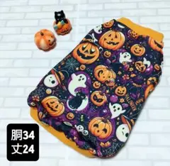 Item thumbnail for item ca434068-4b7e-45ff-a9bf-f5c3ef599f32