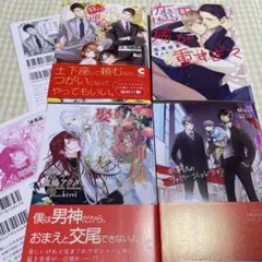 BL小説 4冊 まとめ売り