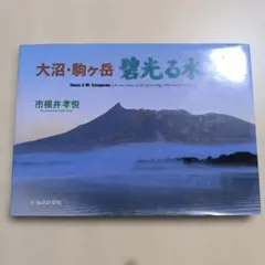 Item thumbnail for item f8b19990-ccad-4f19-b58e-12af67771e65